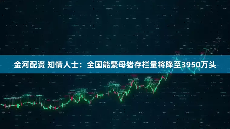金河配资 知情人士：全国能繁母猪存栏量将降至3950万头
