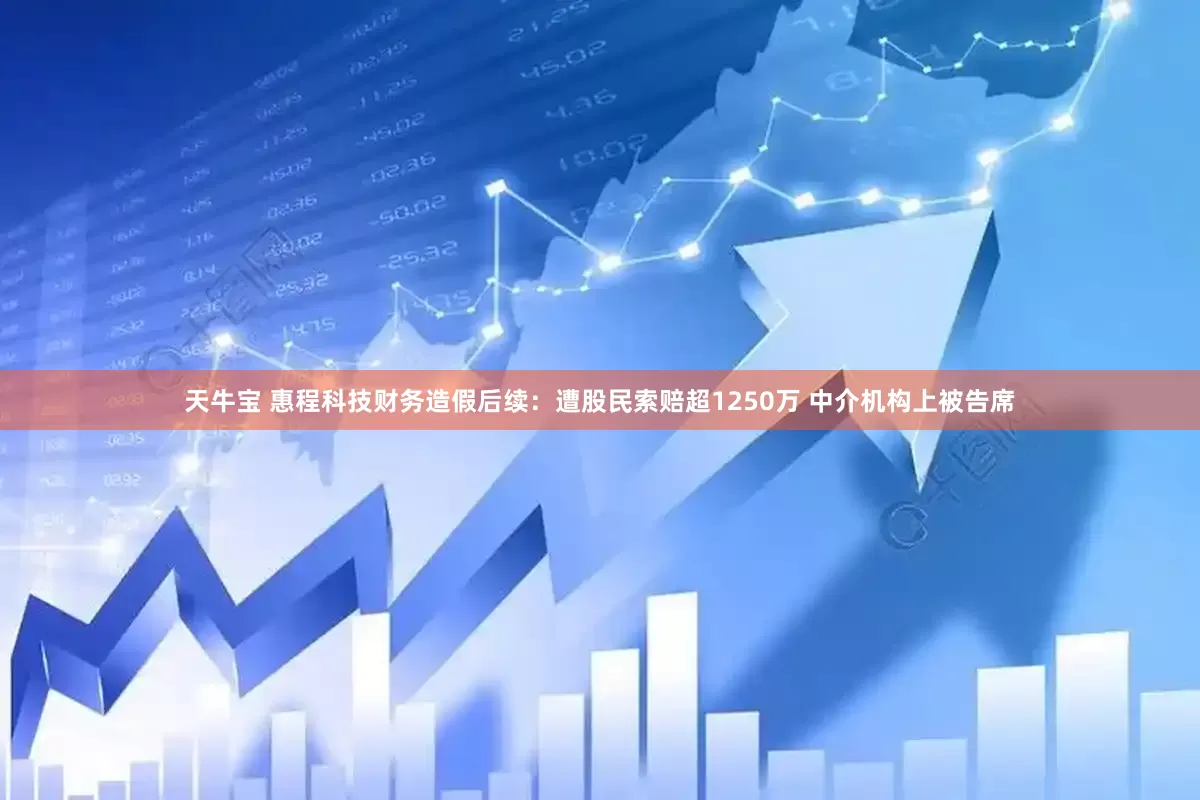 天牛宝 惠程科技财务造假后续：遭股民索赔超1250万 中介机构上被告席