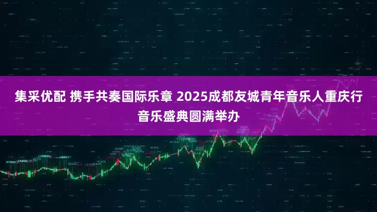 集采优配 携手共奏国际乐章 2025成都友城青年音乐人重庆行音乐盛典圆满举办
